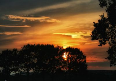Silhouette trees against dramatic sky during sunset