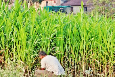 Rear view of a man sitting in field