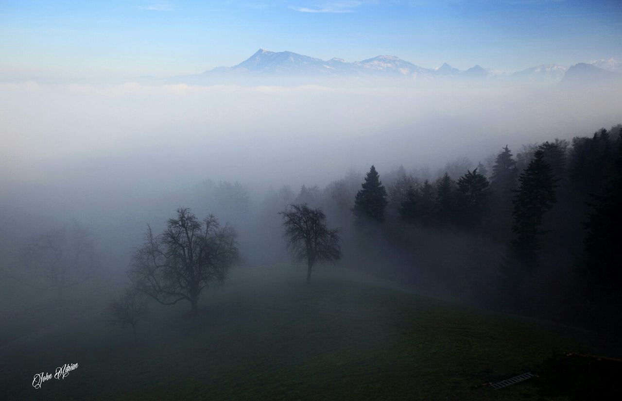 fog, foggy, tranquil scene, tranquility, mountain, scenics, beauty in nature, tree, mist, weather, nature, landscape, mountain range, non-urban scene, idyllic, lake, forest, sky, outdoors, no people