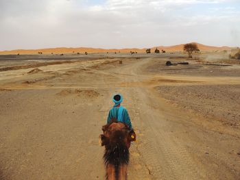 Rear view of man with camel on desert against sky