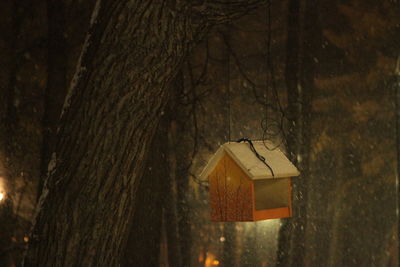 Close-up of birdhouse on tree trunk