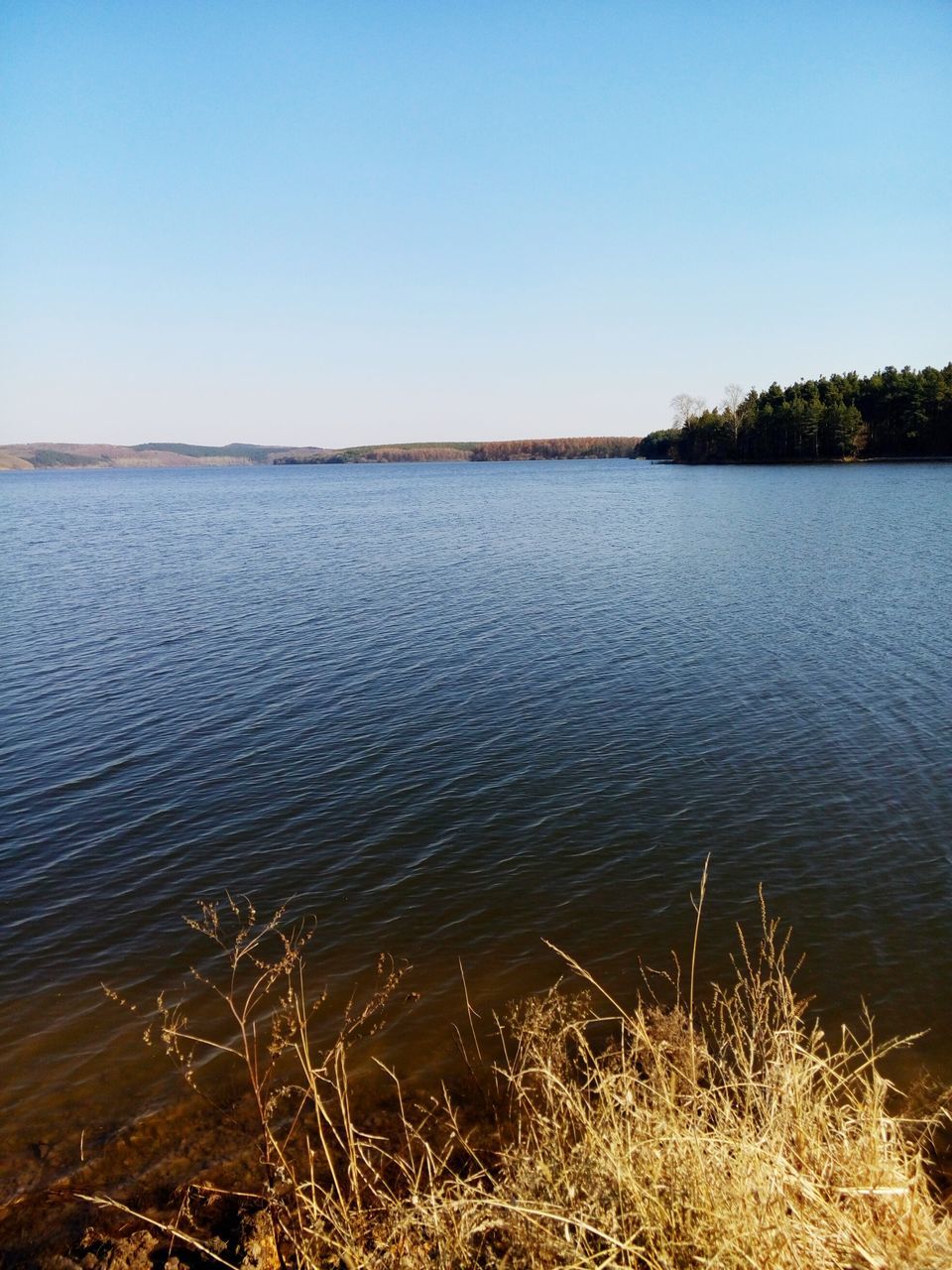 water, tranquil scene, clear sky, tranquility, scenics, blue, beauty in nature, grass, lake, nature, copy space, rippled, idyllic, plant, growth, sky, reflection, calm, outdoors, day