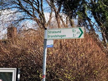 Information sign by tree against sky