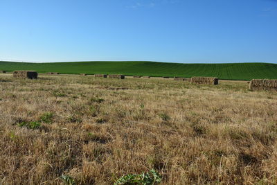 Scenic view of field against clear blue sky