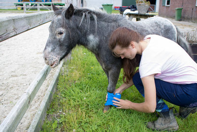 Full length of young woman applying bandage to injured pony on field