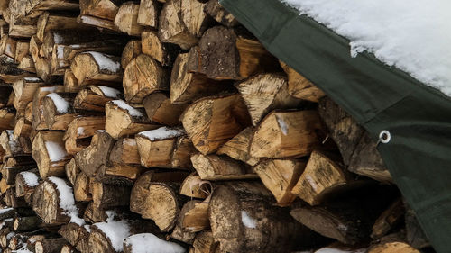 Snow on stack of log