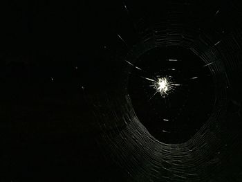 Close-up of illuminated night