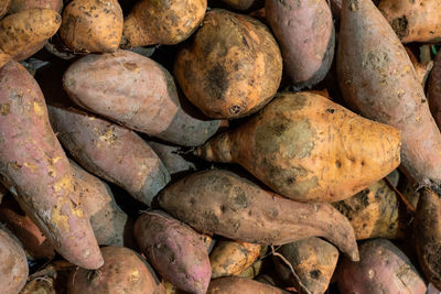 Full frame shot of potatoes