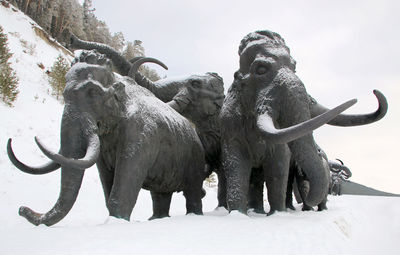 Low angle view of horse statue on snow field against sky