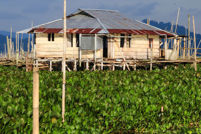 Houses by plants against sky