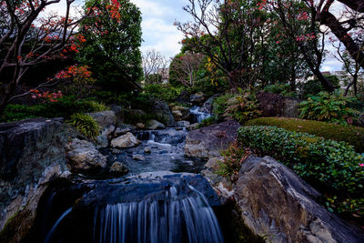 Scenic view of waterfall in forest