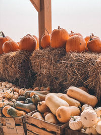 Stack of pumpkins on field