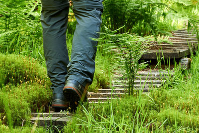 Low section of man walking on land by plants