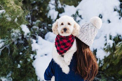 Portrait of dog in snow