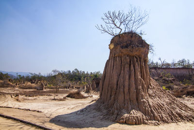 Dead tree on desert against clear sky