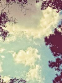 Low angle view of tree against cloudy sky