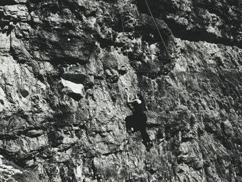 Rear view of people walking on rock