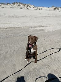 First day at the beach