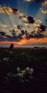 Scenic view of landscape against sky at sunset