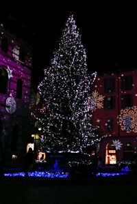 Illuminated christmas tree at night