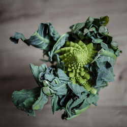 High angle view of romanesco broccoli on table