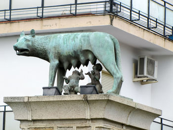 Low angle view of cat statue against building