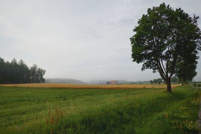 Scenic view of field against sky