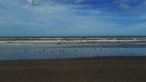 Scenic view of beach against blue sky