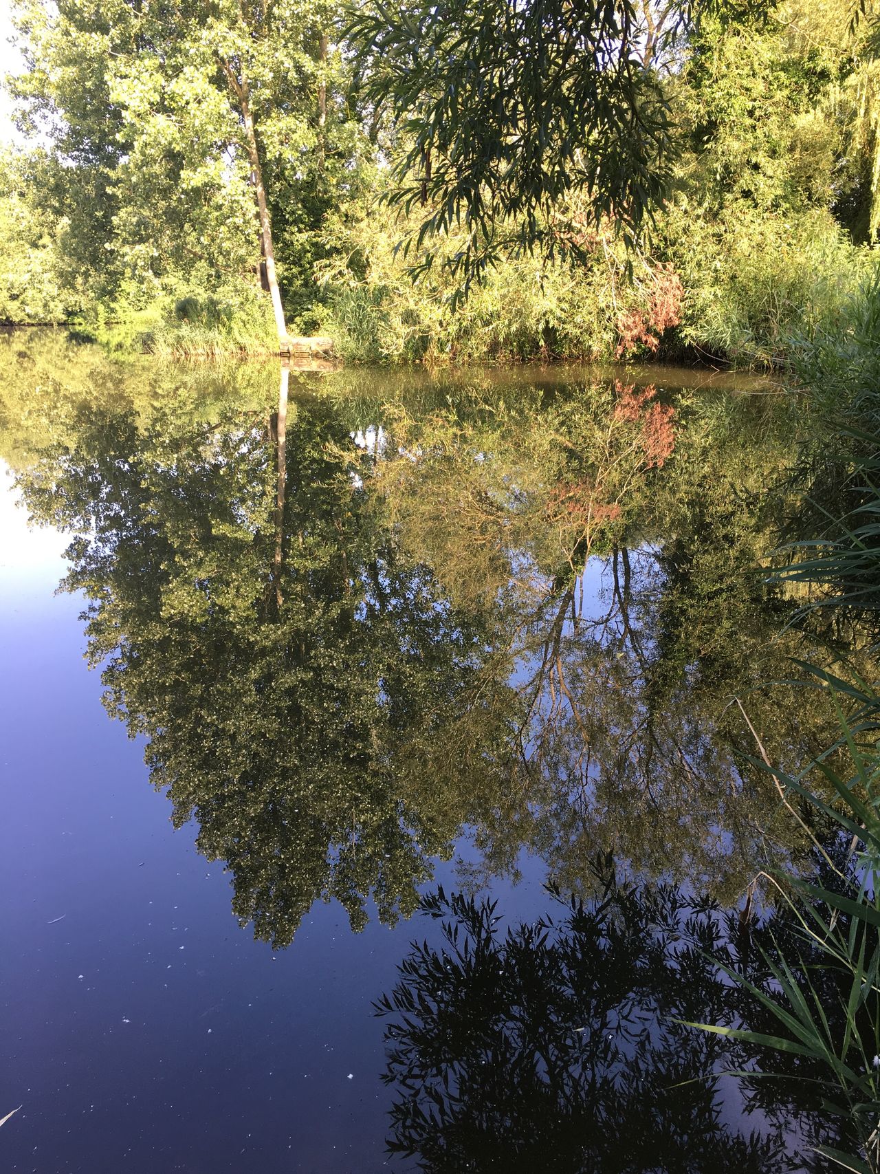 Lodge Lake