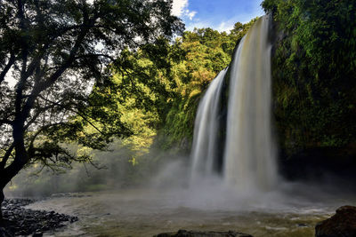 Scenic view of waterfall in forest