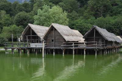 House by lake against trees in forest