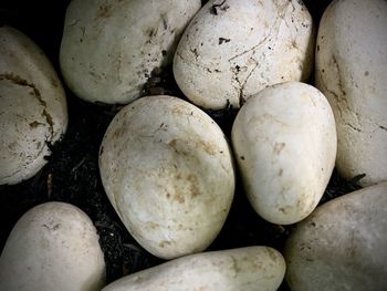 Full frame shot of potatoes