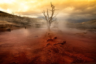 Scenic view of landscape during sunset