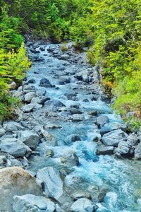 Stream flowing through rocks in forest