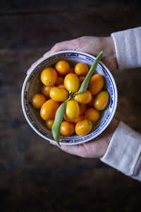 High angle view of fruits in bowl on table