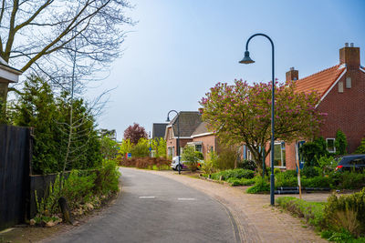 Road amidst trees