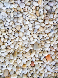 Full frame shot of pebbles for sale