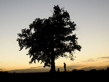 Silhouette tree on field against sky during sunset