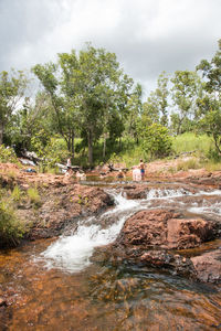 Scenic view of river amidst trees against sky