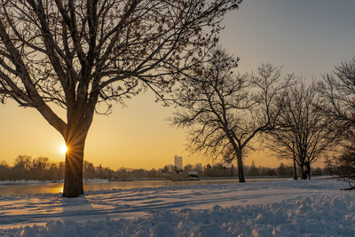 Bare trees on snow covered field against sky during sunset