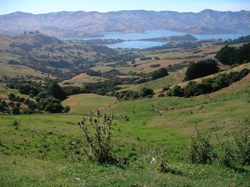 Scenic view of landscape and mountains