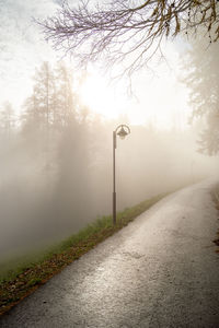 Empty road with street lamp along trees and fog