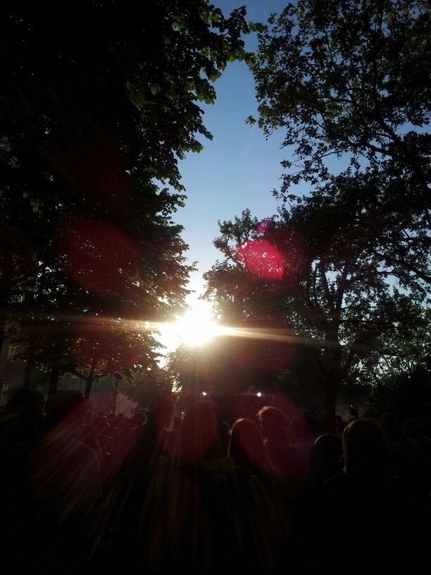 tree, sun, sunlight, sunbeam, lens flare, growth, nature, clear sky, low angle view, branch, bright, silhouette, sky, beauty in nature, sunny, outdoors, tranquility, back lit, day, red