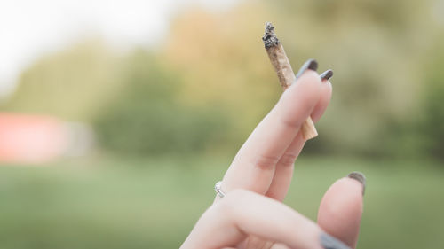 Close-up of cropped hand holding marijuana joint