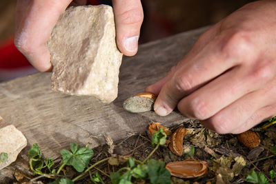 Midsection of person preparing food