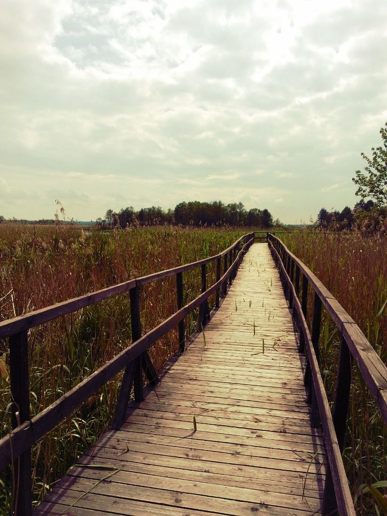 the way forward, sky, diminishing perspective, vanishing point, railing, cloud - sky, tranquility, tranquil scene, landscape, nature, cloudy, cloud, connection, long, scenics, tree, grass, beauty in nature, field, day