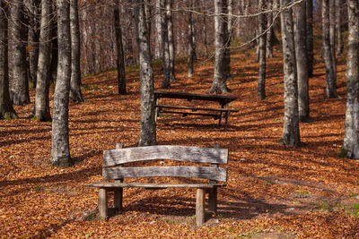 Empty bench in park