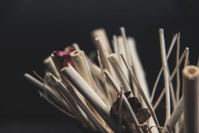 Close-up of objects over black background