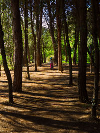 Rear view of man walking in park