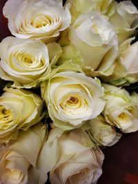 Close-up of white roses